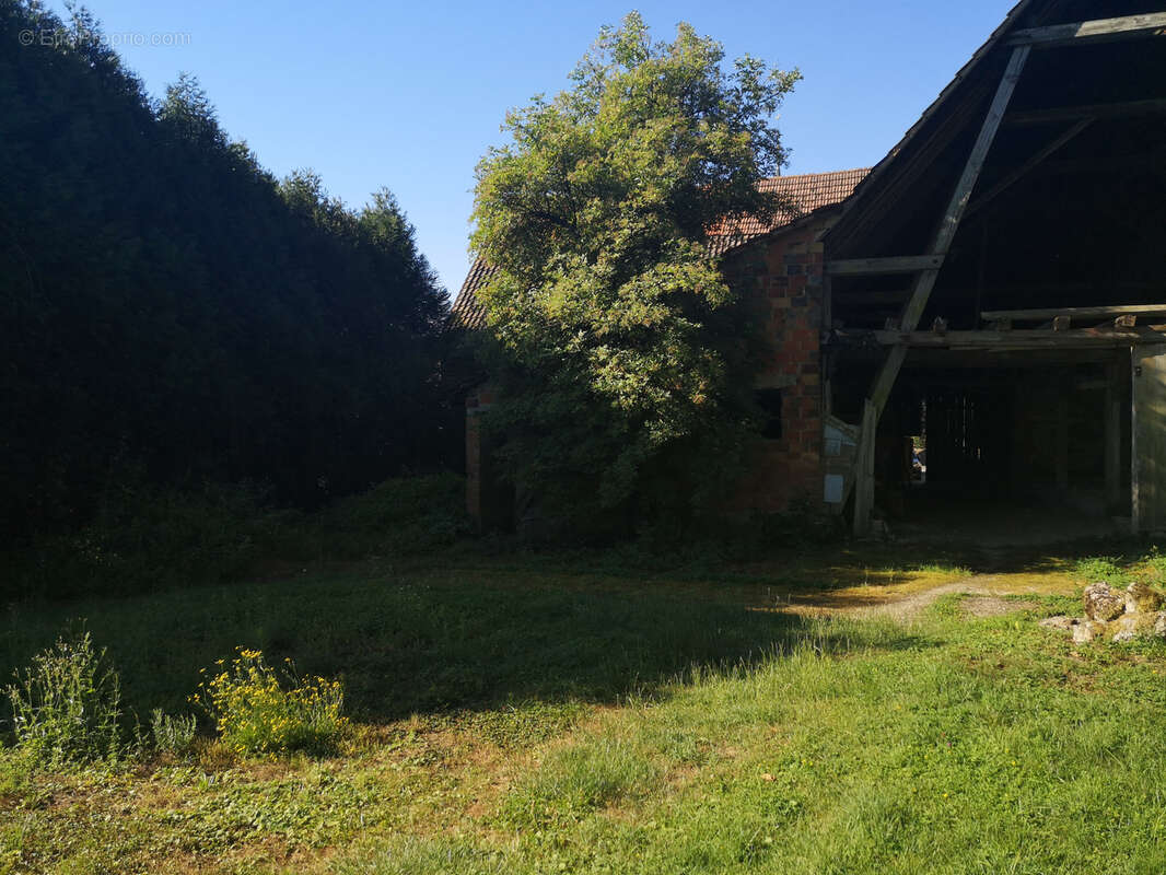 KUTZENHAUSEN   Ensemble immobilier : Maison 72 m2 + Grande Grange à réhabiliter sur 13 ares - photo 18