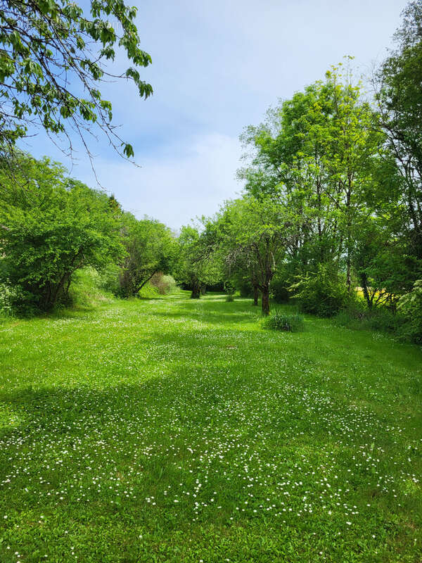 Maison quercynoise avec jardin et dépendance - photo 8