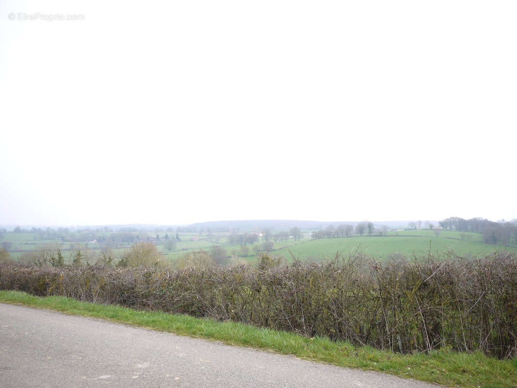Terrain à BOURBON-L'ARCHAMBAULT