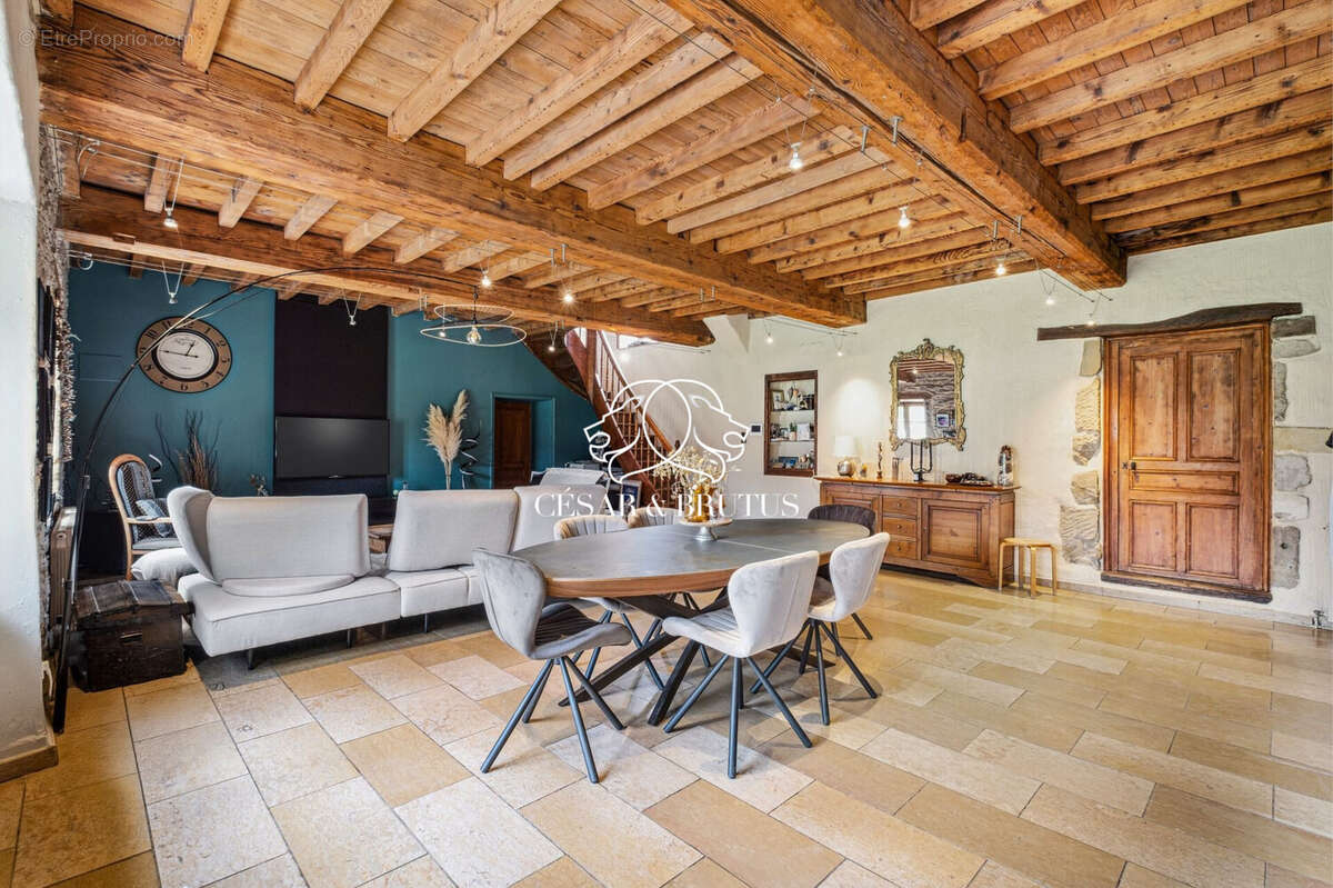 Maison 265 m² à Eyzin-Pinet  - photo 5