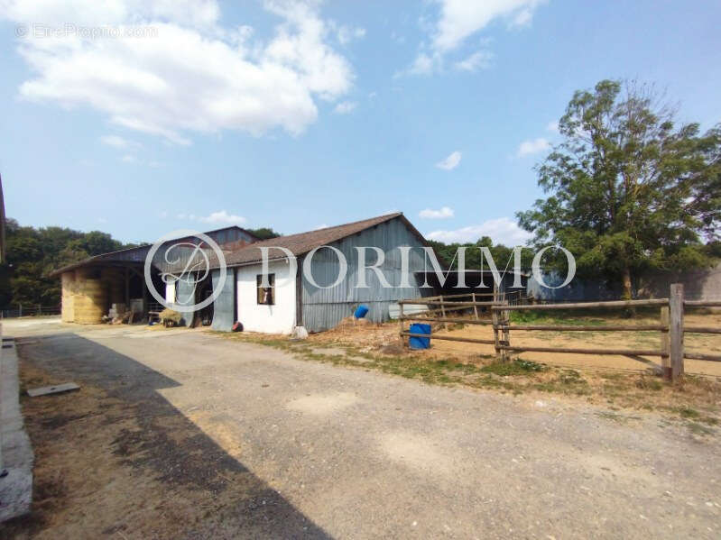 RARE Propriété équestre à fort potentiel avec pâture et carrière ! - photo 17