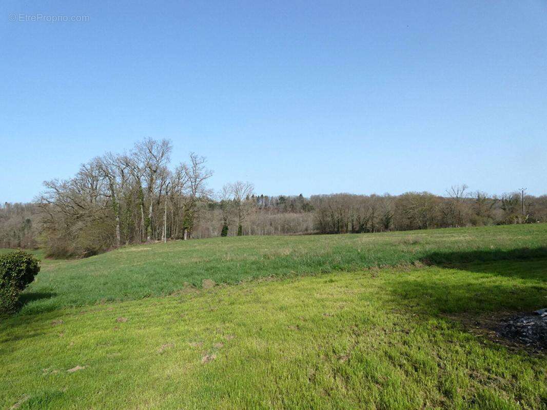 Maison Nailhac 160 m2 / 4 chambres / grange / hangar / terrain 1 hectare - photo 7