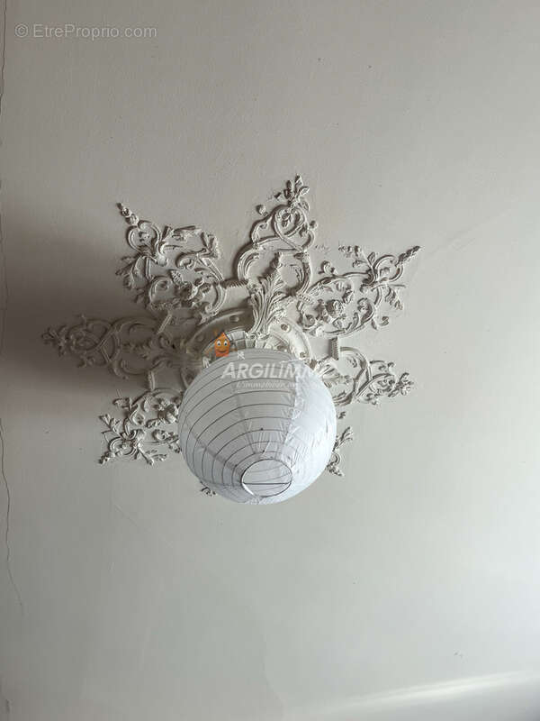 Maison unique de style - photo 7