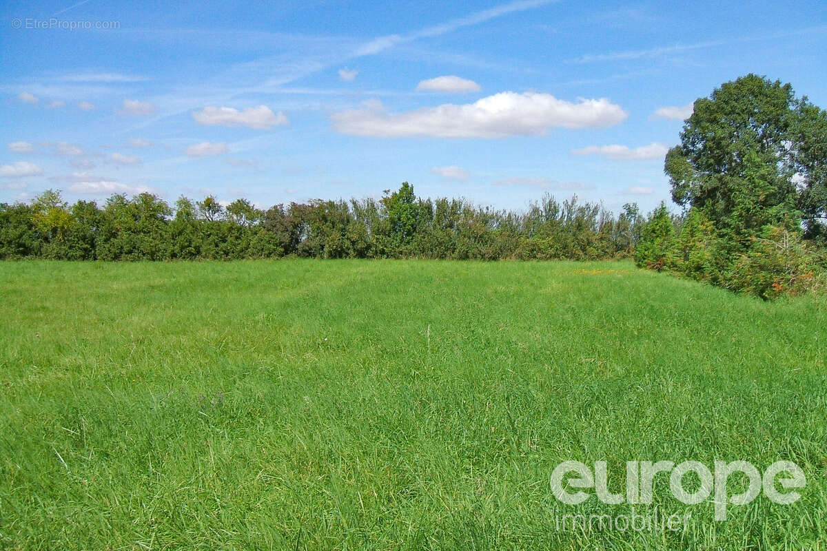 Terrain 2880 m² à Provency  - photo 2
