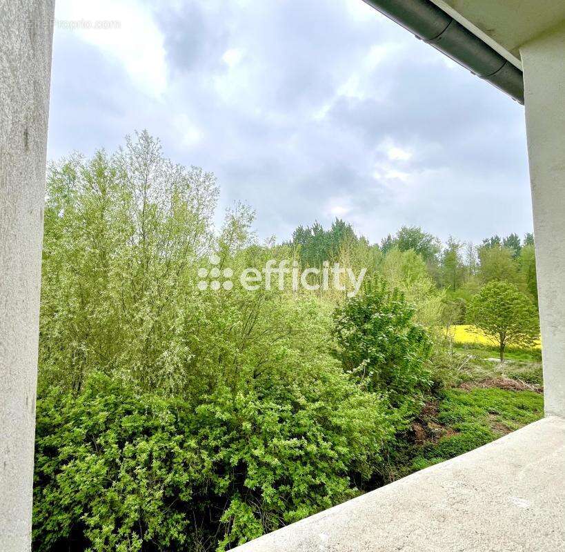 Maison 165 m² à Nanteuil-La-Fosse  - photo 17