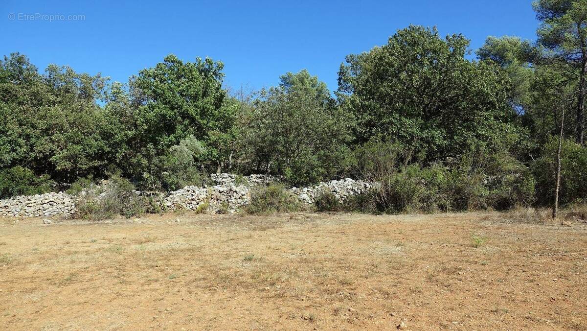Photo 1 - Terrain à SAINT-MAXIMIN-LA-SAINTE-BAUME