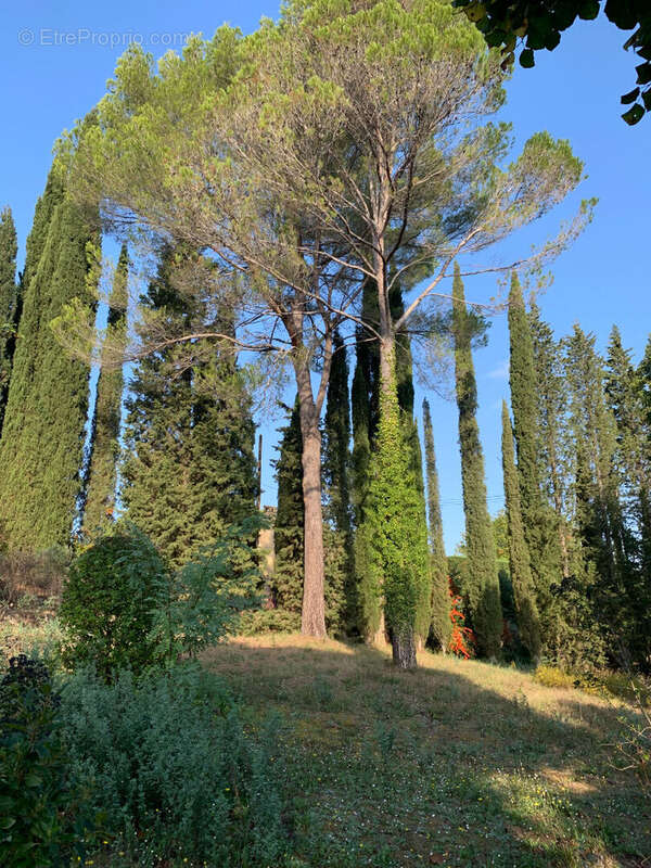 Unique ! Terrain Valbonne à 2 min à pied du village - photo 4