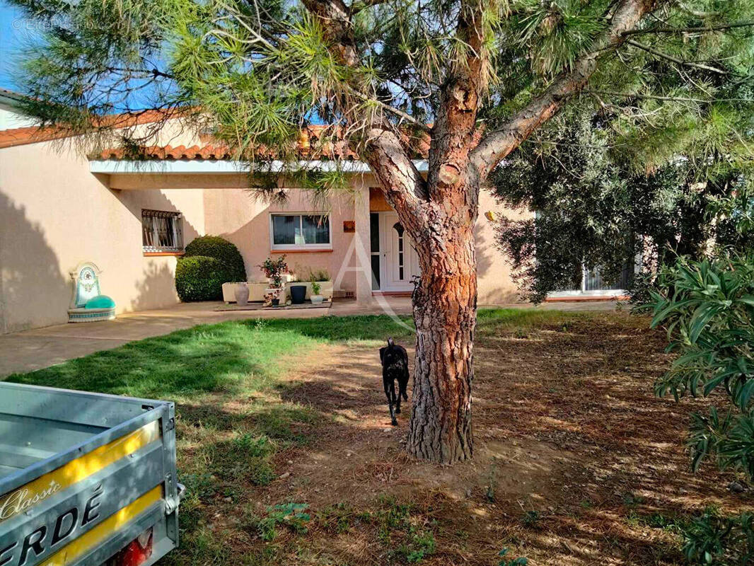 Maison à PERPIGNAN