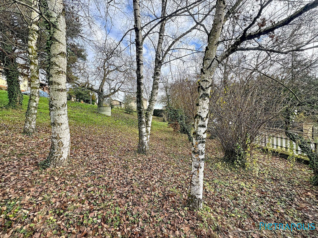 Terrain à PONTCHARRA-SUR-TURDINE