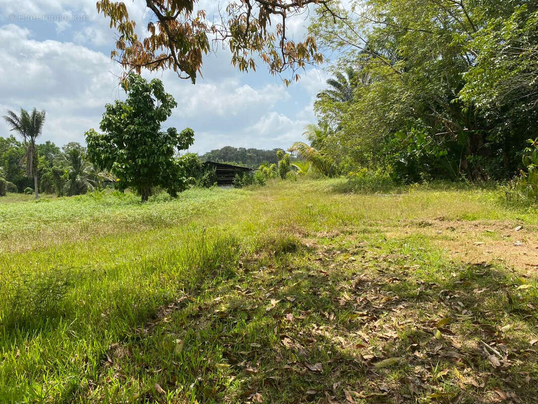 Terrain à MACOURIA