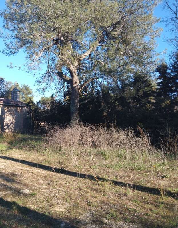 Terrain à LA BASTIDE-DES-JOURDANS