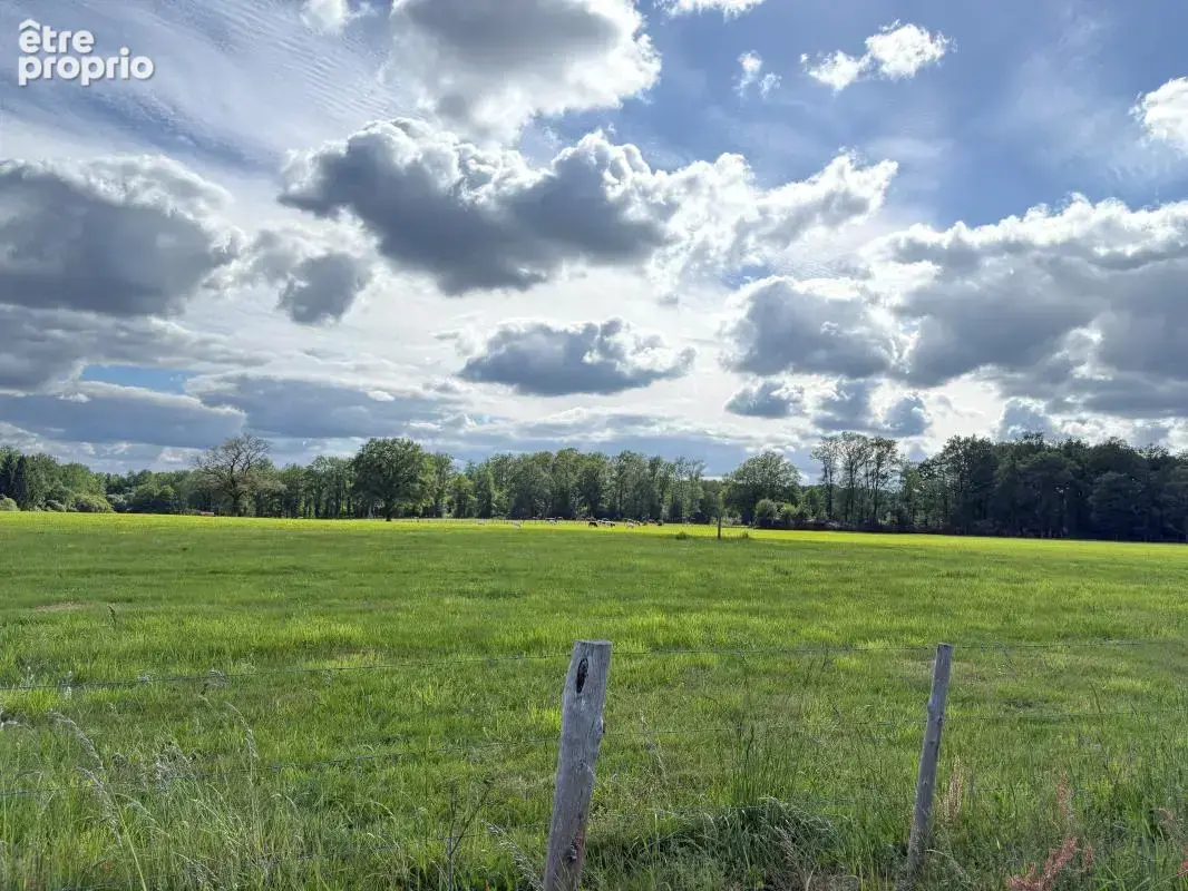 Terrain à THIVIERS