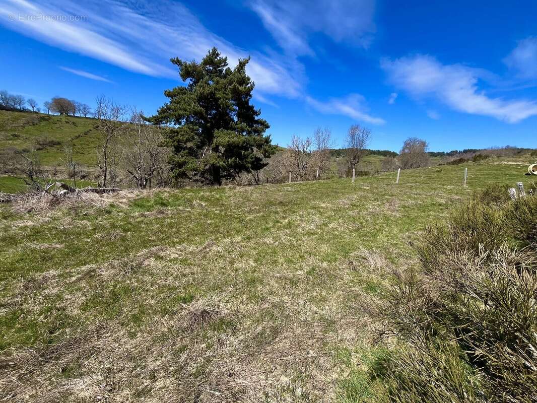 Terrain à RIEUTORT-DE-RANDON