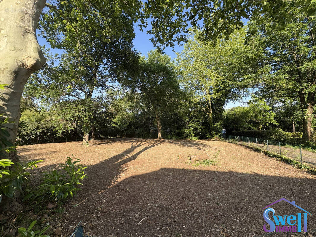 Terrain à MESSANGES