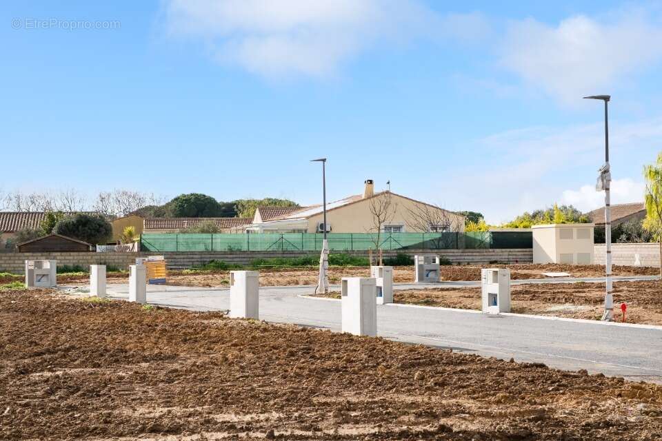 Terrain à LE CAILAR