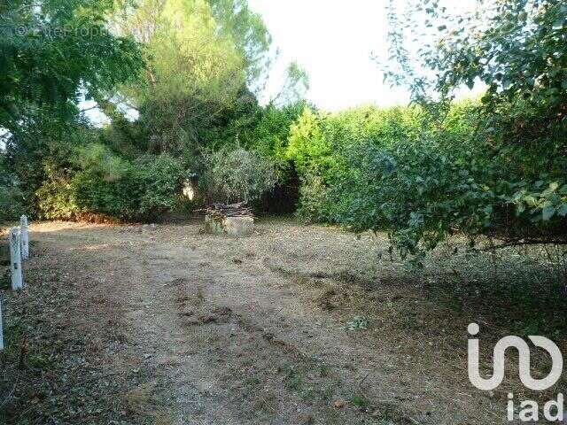 Photo 6 - Maison à AIGREFEUILLE-D&#039;AUNIS