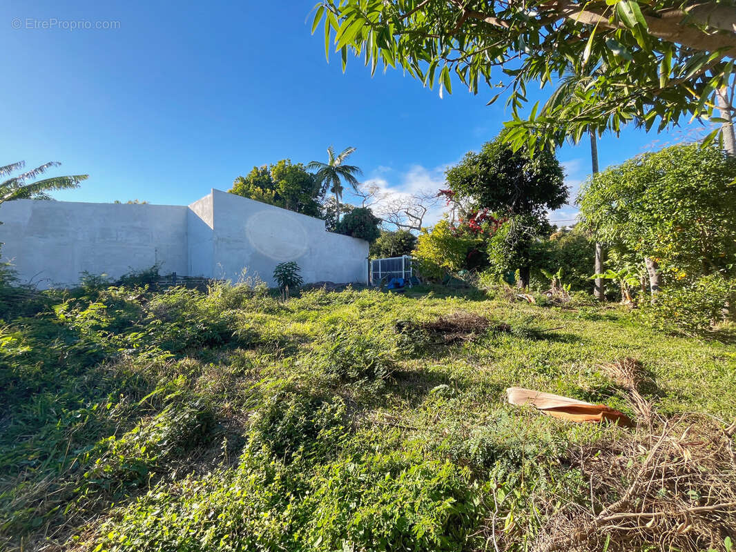 Terrain à SAINT-DENIS