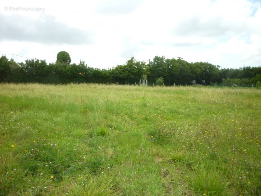 Terrain à SAINT-GEORGES-D&#039;OLERON