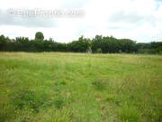 Terrain à SAINT-GEORGES-D&#039;OLERON