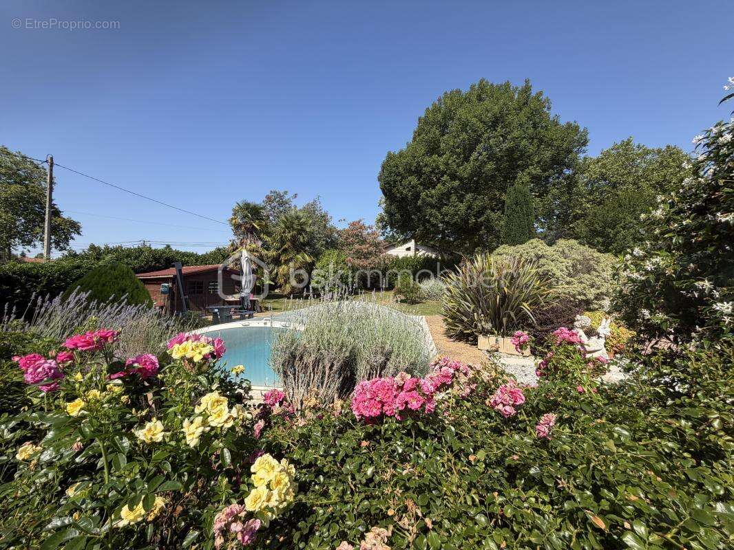 Propriété avec maison de plain-pied et son studio et son beau terrain de 3333 mètres avec piscine de 9X4 à l'abri des regards - photo 7