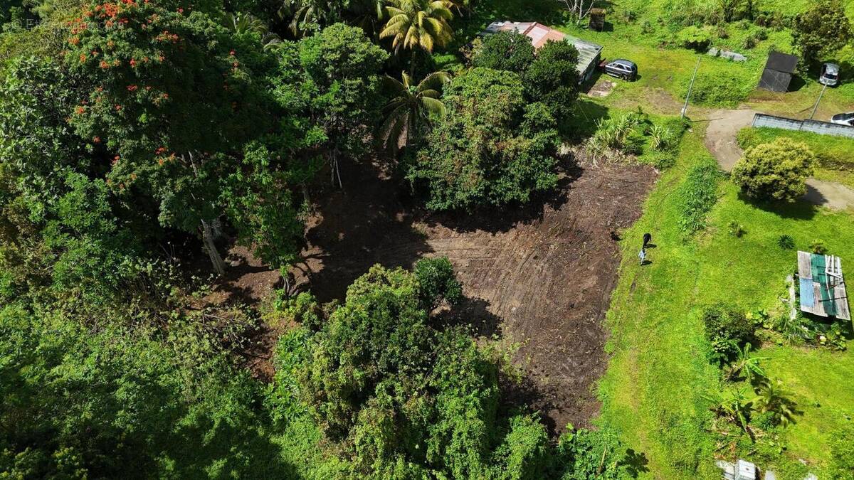 Photo 1 - Terrain à FORT-DE-FRANCE