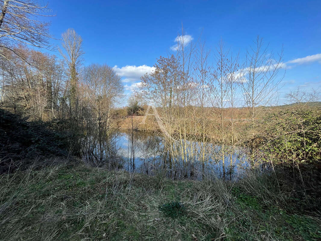 Terrain contructible - 1625 m2 - photo 6