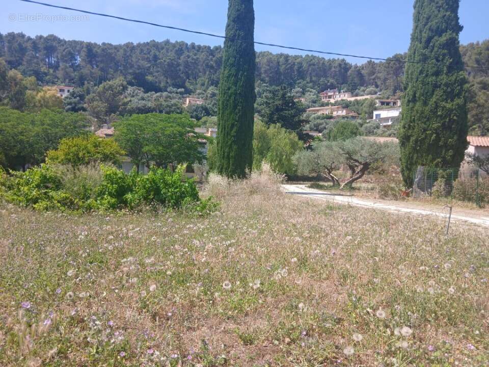 Terrain 501 m² à Sollies-Pont  - photo 2