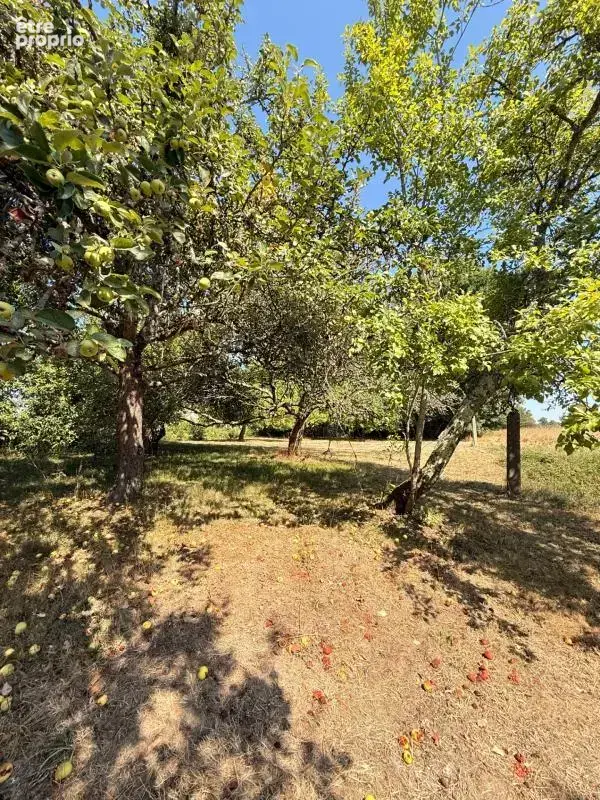 Charmante maison en pierre, 115m², 3 chambres, 1175 m² de terrain 89 900 € - photo 20