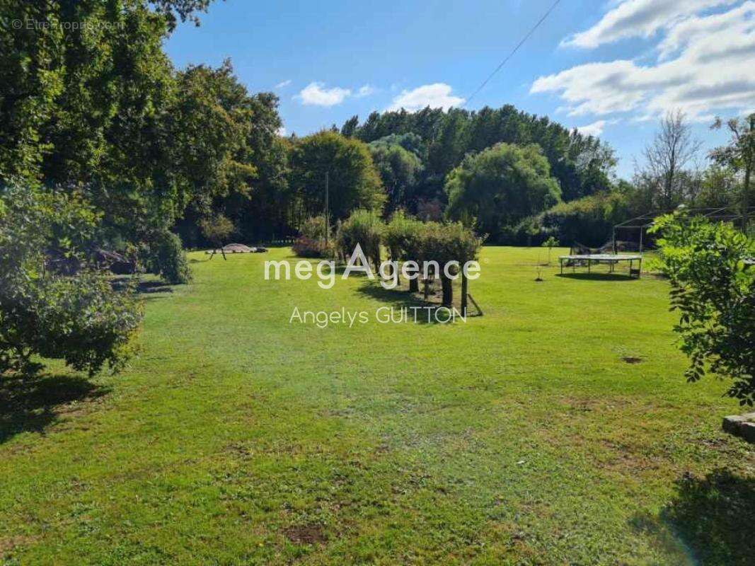 Terrain à CONGE-SUR-ORNE