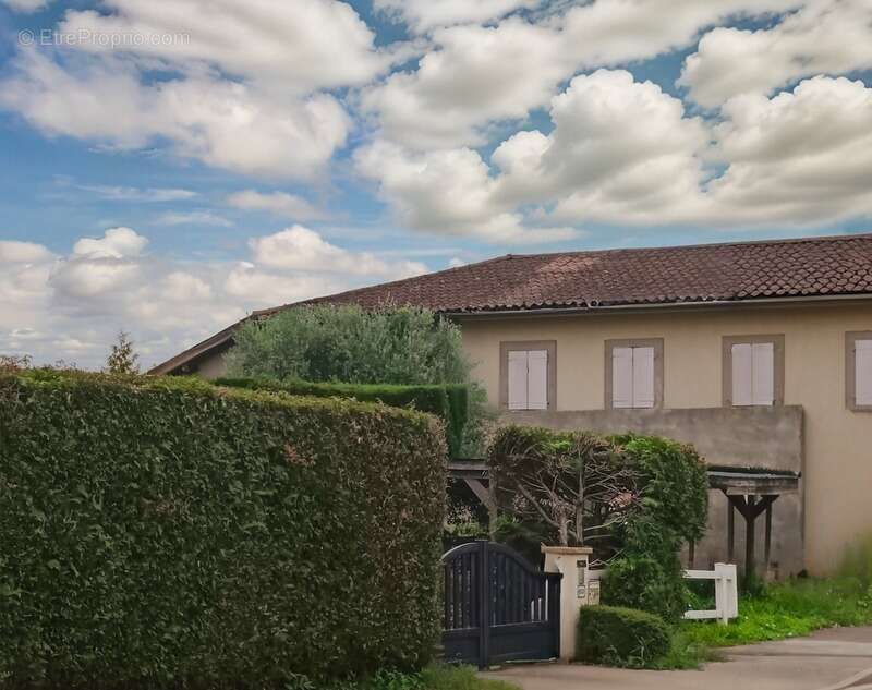 Appartement à SAINT-DIDIER-SUR-CHALARONNE