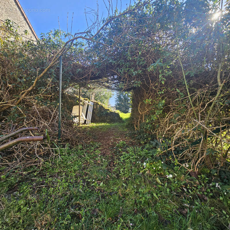 Autre à PIONNAT