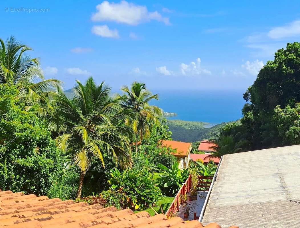 Maison à SAINTE-LUCE