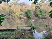 Terrain à SAINT-JACQUES-DE-THOUARS