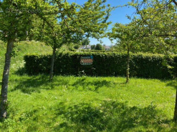 Parcelle de terrain a batir - photo 2
