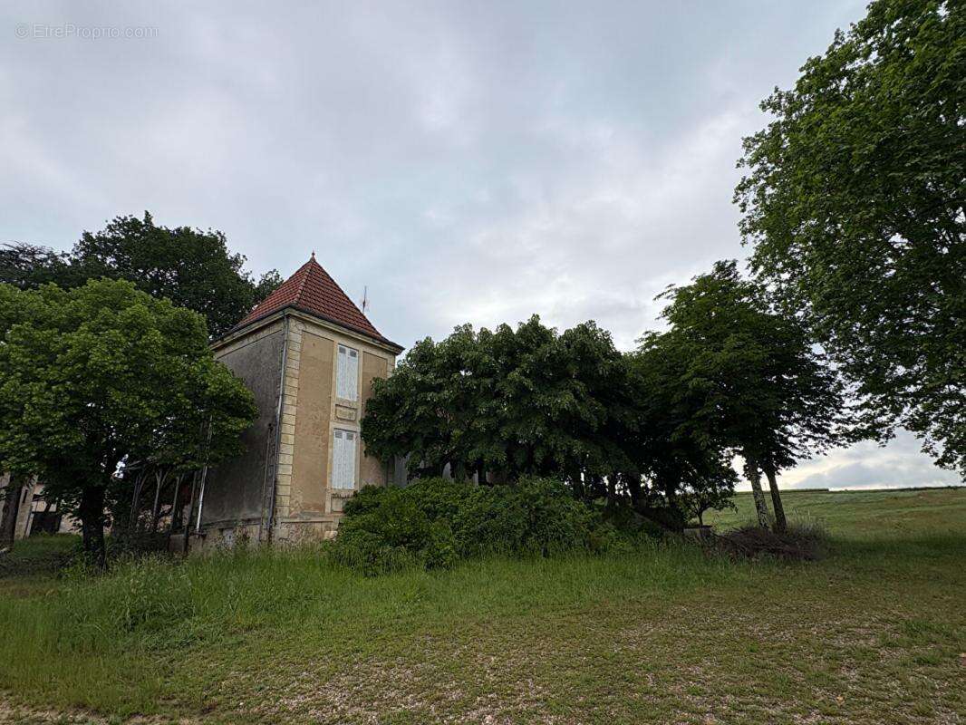Domaine d'exception sur les coteaux de sainte croix du mont : un fort potentiel entre ciel et vignes - photo 4