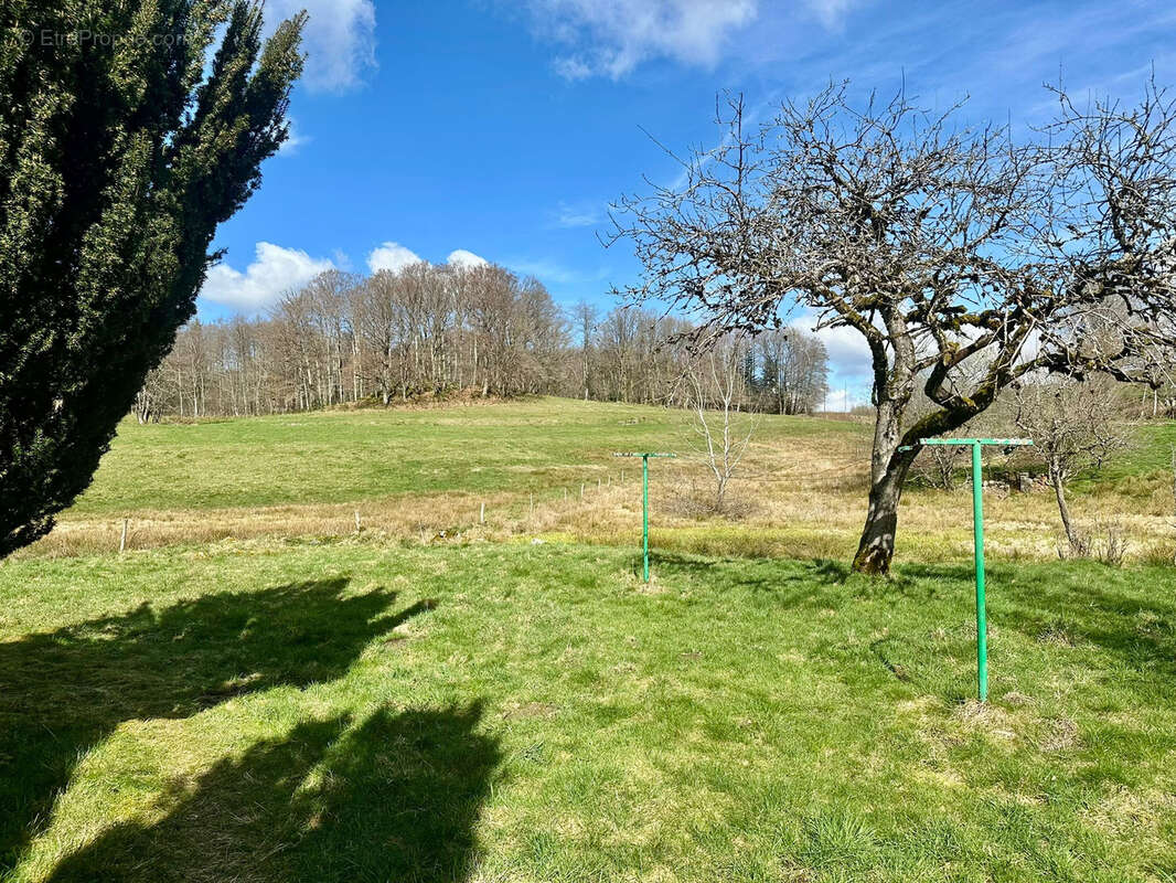 Maison à BEULOTTE-SAINT-LAURENT