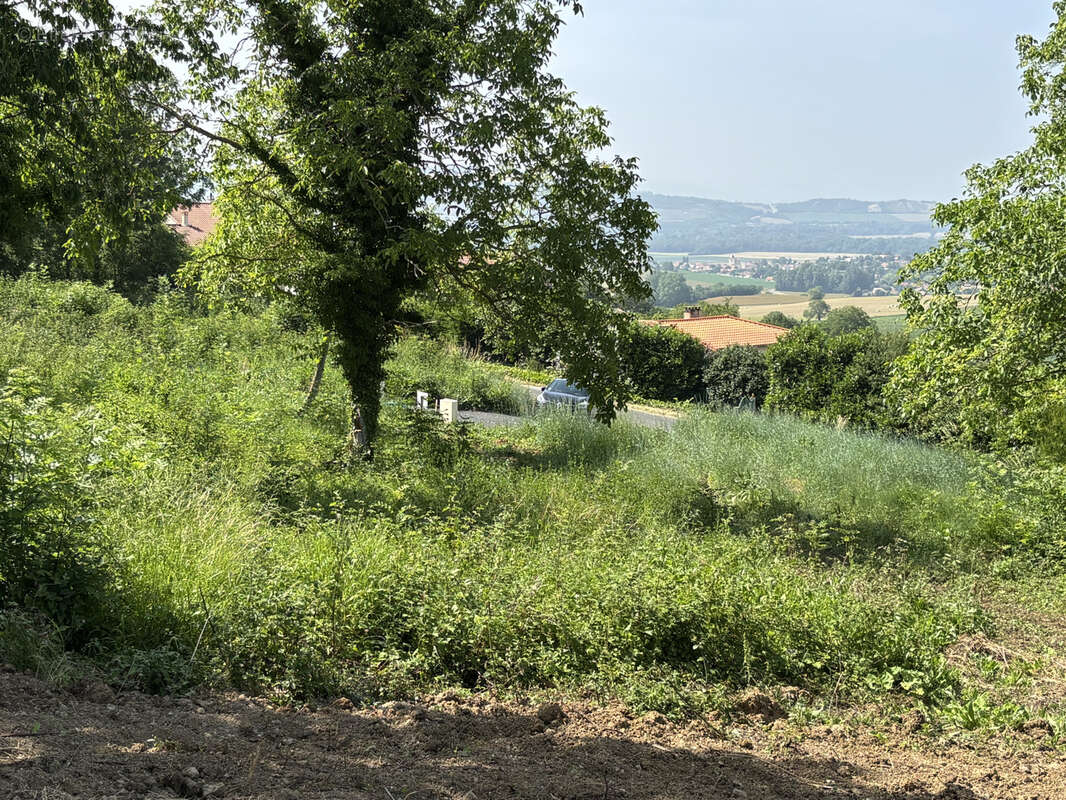 Terrain à SAINT-GEORGES-SUR-ALLIER
