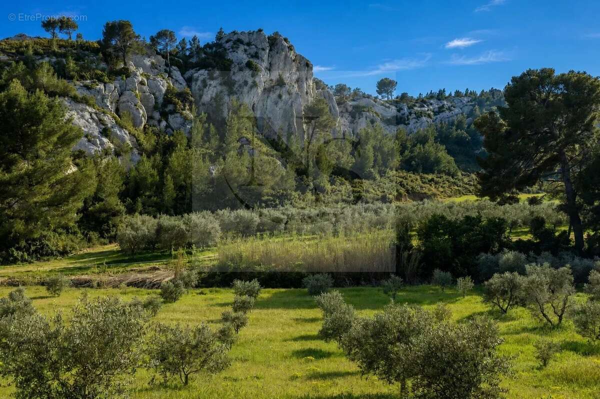 Maussane-les-alpilles / propriété de maître - photo 40
