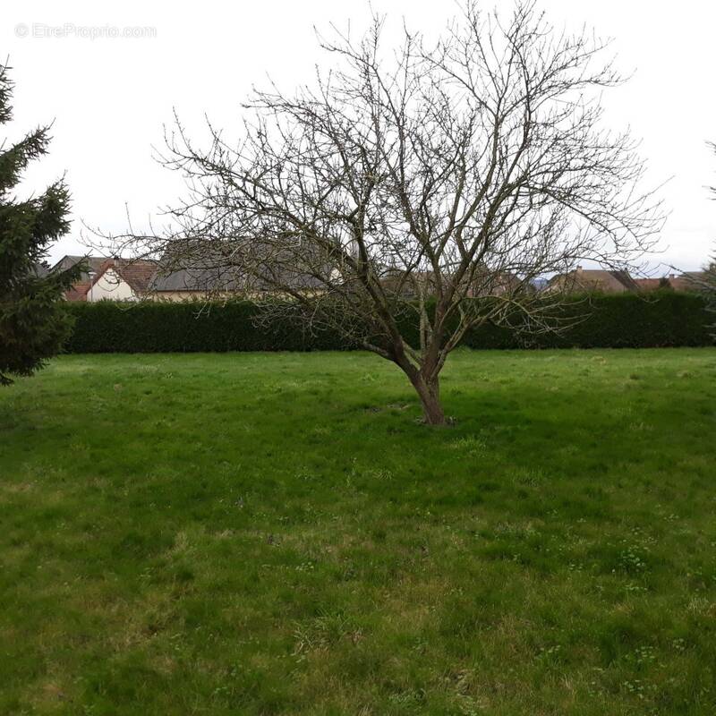 Terrain à PANILLEUSE