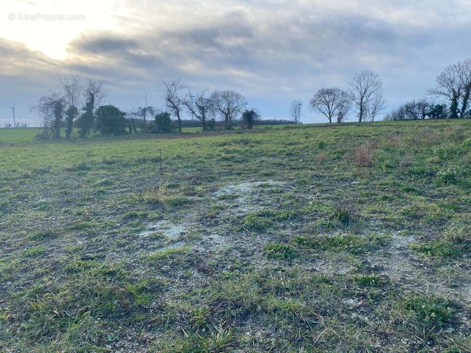 Terrain 422 m² à Breuil-Magne  - photo 2