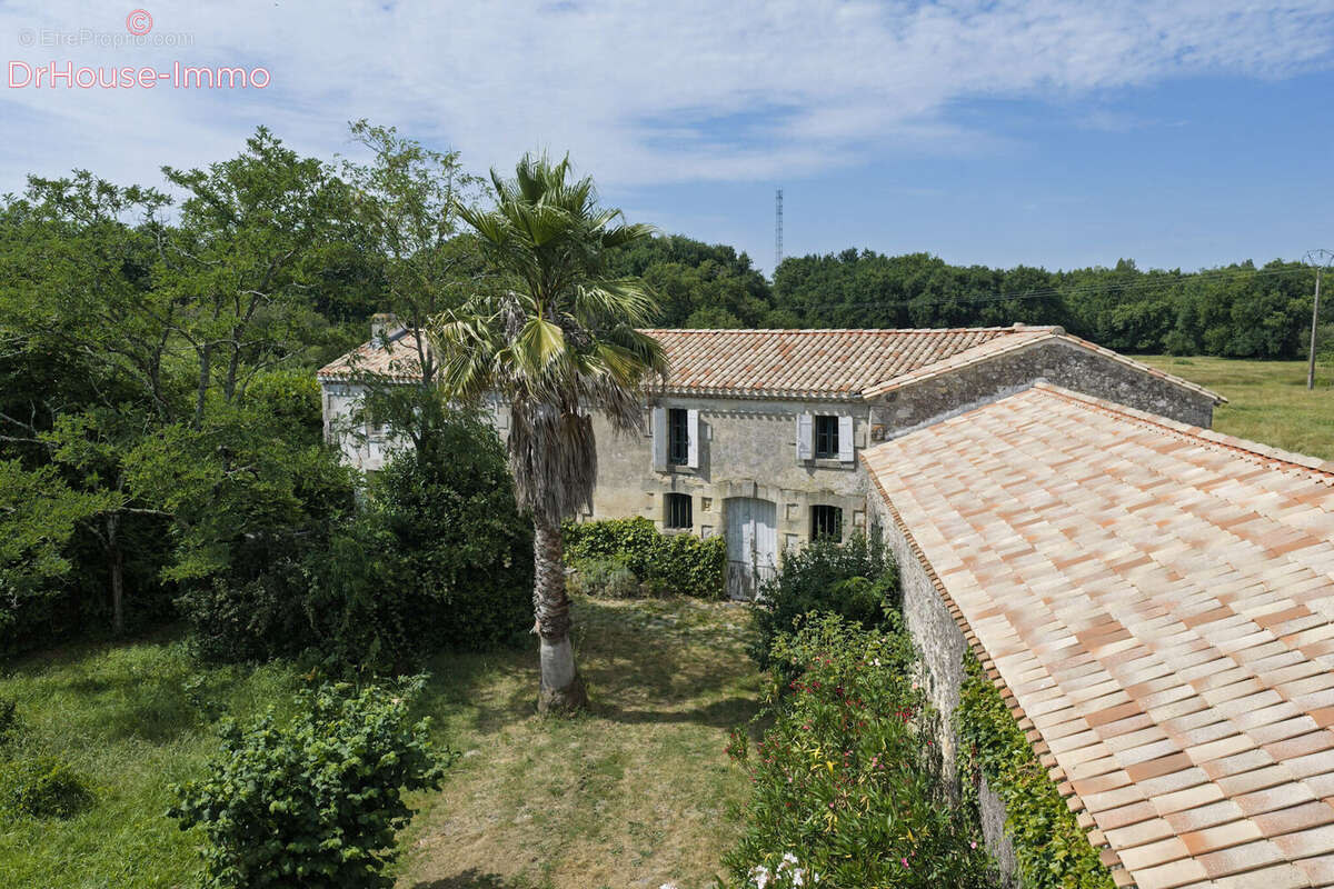 Maison 800 m² à Saint-Vivien-De-Medoc  - photo 6