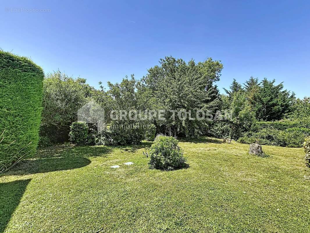 Montrabe 5 minutes - photo 2
