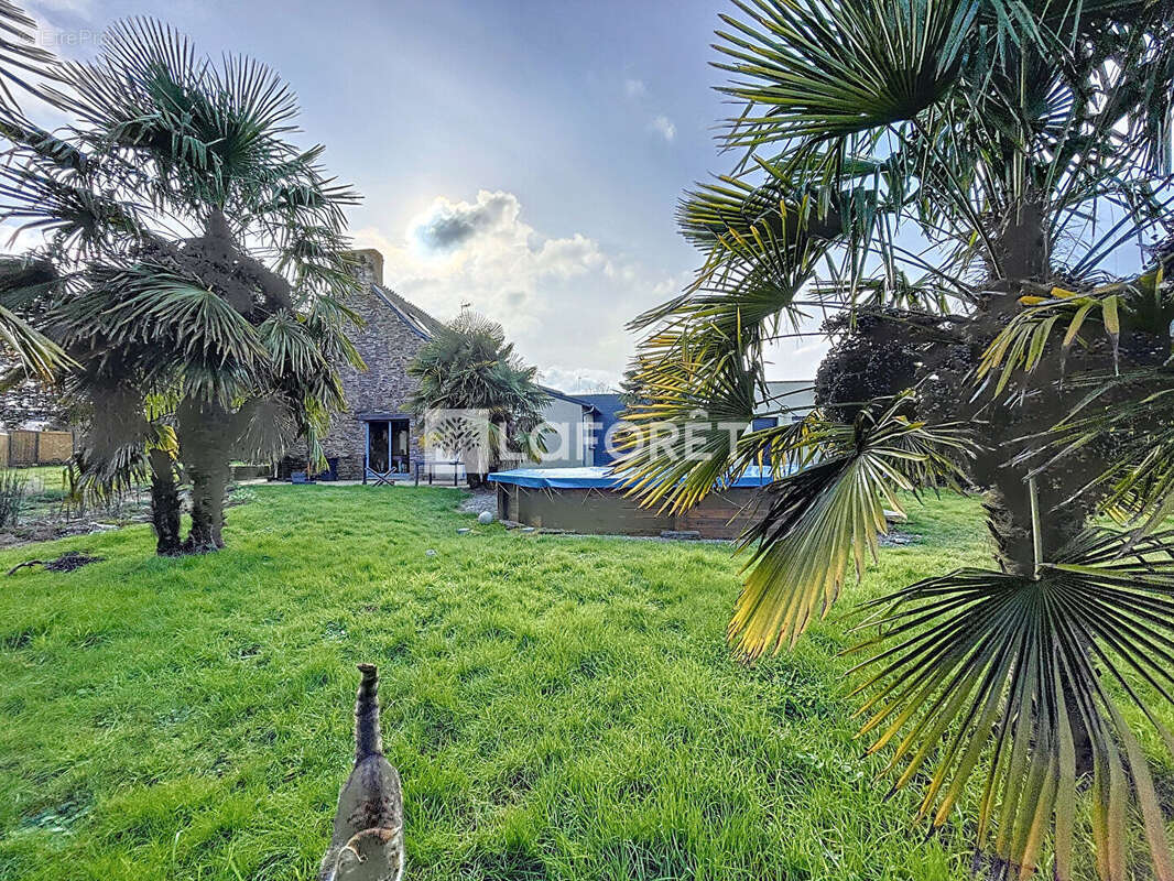 Maison à SAINTE-ANNE-SUR-VILAINE