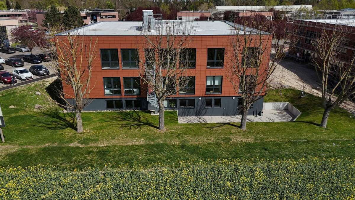 Commerce à OBERHAUSBERGEN