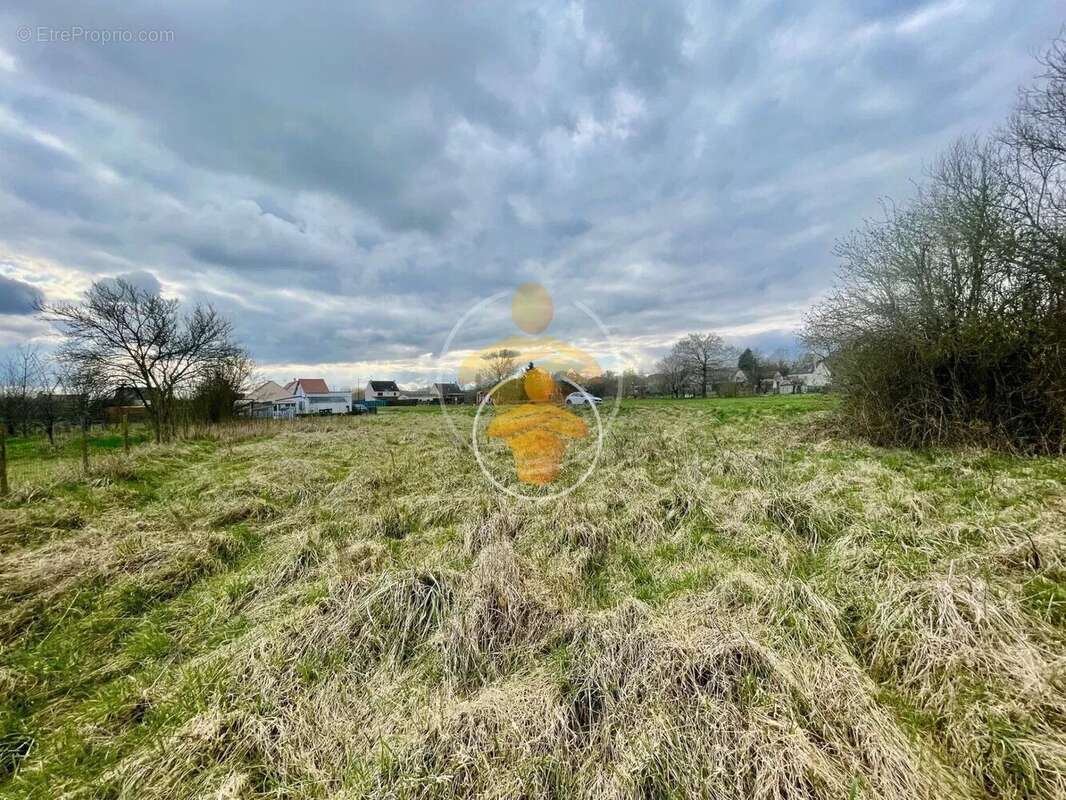 Terrain à TRAVECY