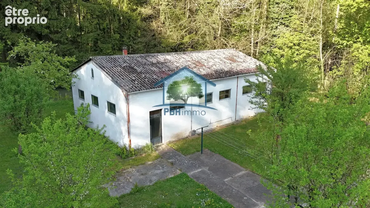 Mitschdorf - hangar + etang - photo 2