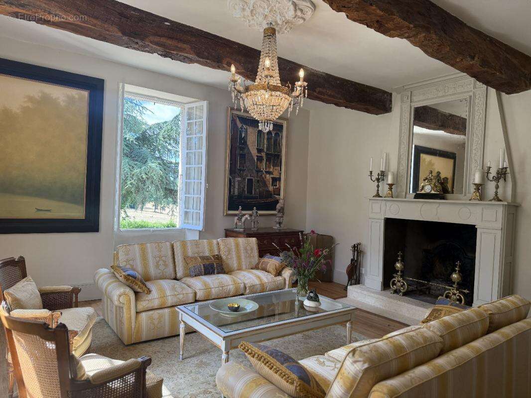 Magnifique propriété avec manoir et vaste parc - photo 5