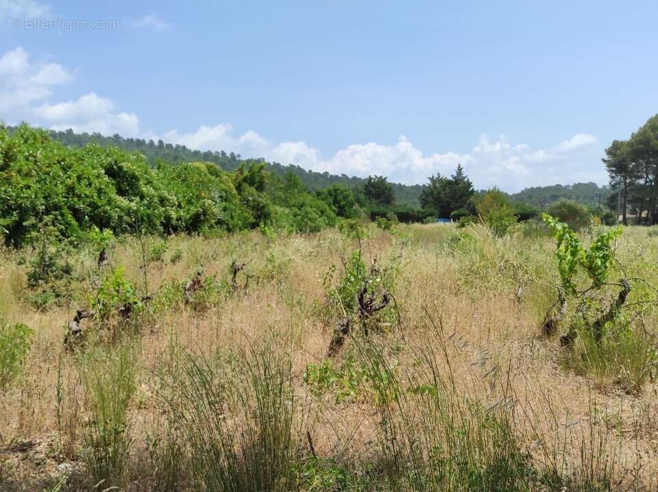 Terrain à GAREOULT