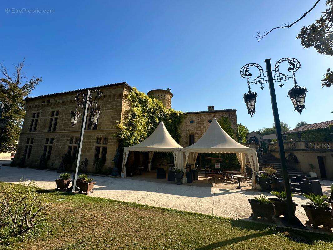 Château À Vendre - photo 7