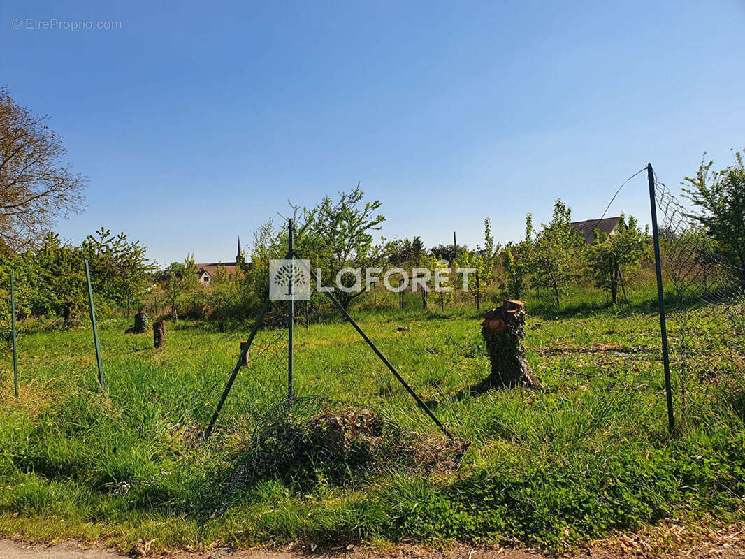 Terrain à KOGENHEIM